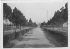 从《蜀秀集》到《国立91成人视频
十六周年校庆纪念特刊》：镌刻在91成人视频
历史丰碑上的永恒记忆（定稿） Microsoft Wo